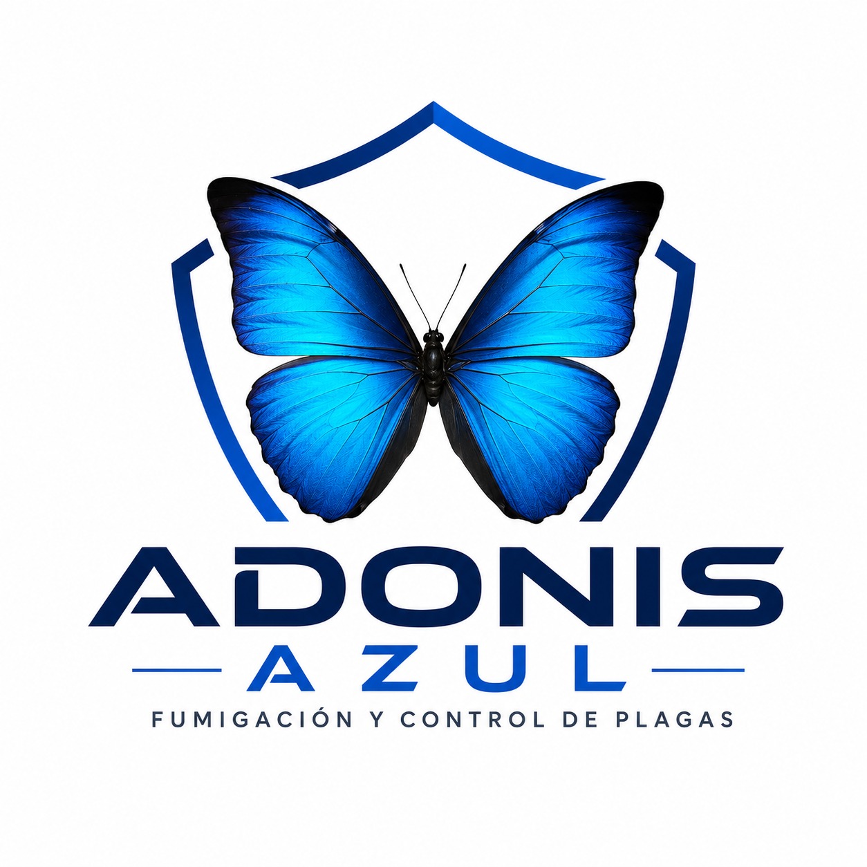 Adonis Azul